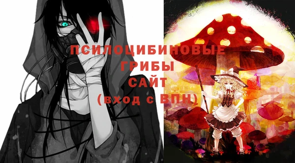 прущие грибы Алексеевка