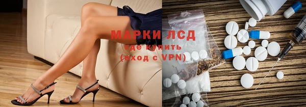прущие грибы Алексеевка
